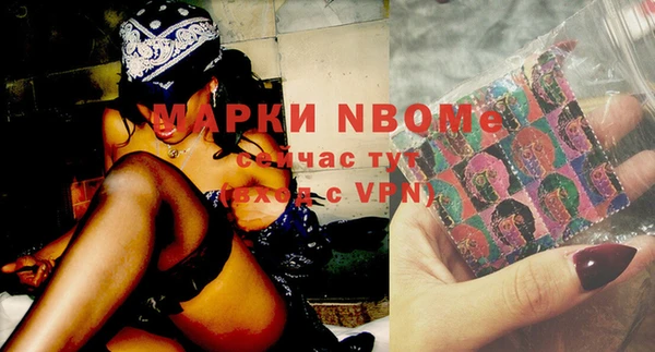 стафф Бородино