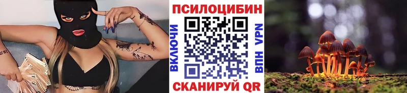 купить наркоту  Свободный  Псилоцибиновые грибы мицелий 