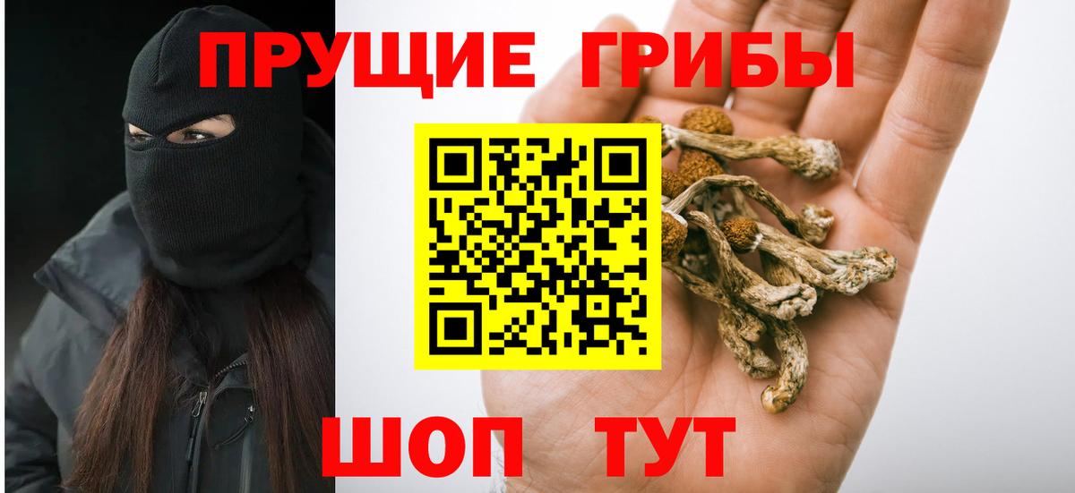 Галлюциногенные грибы Cubensis  Вход с VPN  Свободный 
